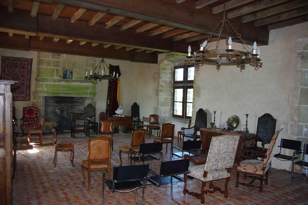 Готель Chateau De Vermette La Chapelle-Gaudin Номер фото