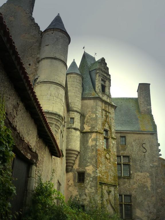 Готель Chateau De Vermette La Chapelle-Gaudin Номер фото